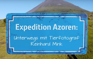 hr-fernsehen: Expedition Azoren