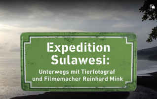 hr-fernsehen: Expedition Sulawesi